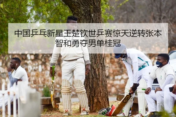 中国乒乓新星王楚钦世乒赛惊天逆转张本智和勇夺男单桂冠